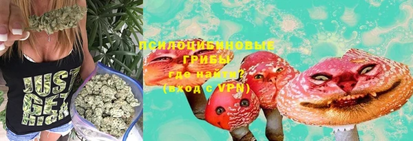 синтетический гашиш Алексин