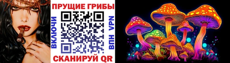 Псилоцибиновые грибы Cubensis  Учалы 